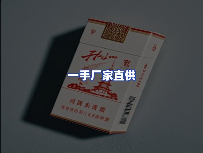专业团队
